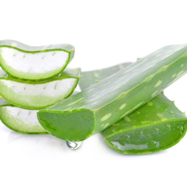 aloe4 aloe4
